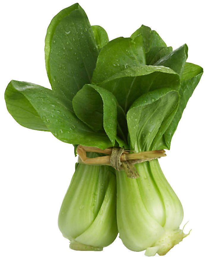 Potassium_Determination_In_Plant_Tissue