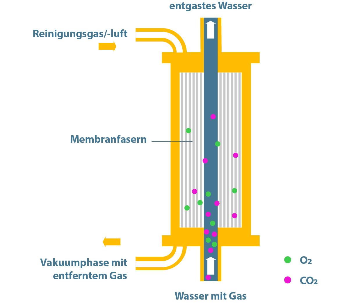 Prinzip der Membranentgasung